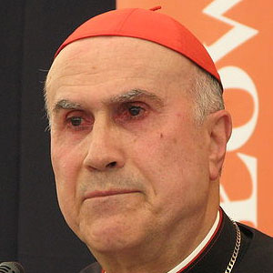 Cardinal Bertone said there was evidence that gays were to blame for child abuse