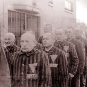 Over 50,000 gay people were arrested and imprisoned by the Nazis