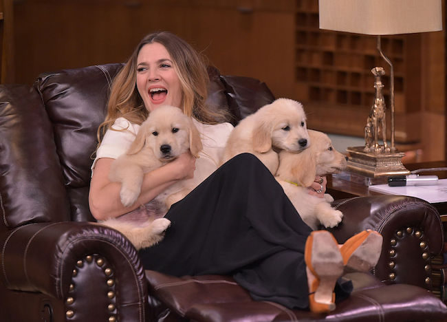Drew Barrymore with puppies
