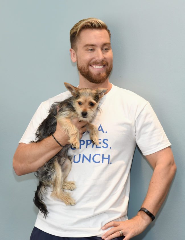 LOS ANGELES, CA - AUGUST 23: Lance Bass with his dog Chip at Natural Balance Pet Foods announce new formula with Lance Bass and Downward Dogs - Literally - at The DEN Meditation on August 23, 2017 in Los Angeles, California. (Photo by Michael Kovac/Getty Images for Natural Balance)