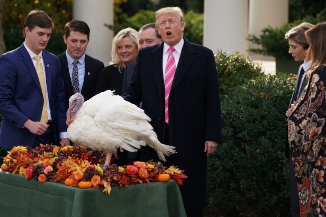 WASHINGTON, DC - NOVEMBER 21:  U.S. President Donald Trump pardons the National Thanksgiving Turkey, 'Drumstick,' with National Turkey Federation Chairman Carl Wittenburg and his family in the Rose Garden at the White House November 21, 2017 in Washington, DC. Following the presidential pardon, the 40-pound White Holland breed which was raised by Wittenburg in Minnesota, will then reside at his new home, 'Gobbler's Rest,' at Virginia Tech.  (Photo by Chip Somodevilla/Getty Images)