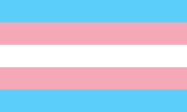 Trans pride flag 