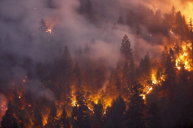 REDDING, CA - JULY 30: Forest burns in the Carr Fire on July 30, 2018 west of Redding, California. Six people have died in the massive fire, which has burned over 100,000 acres and forced thousands to evacuate since it began on July 23. (Photo by Terray Sylvester/Getty Images)
