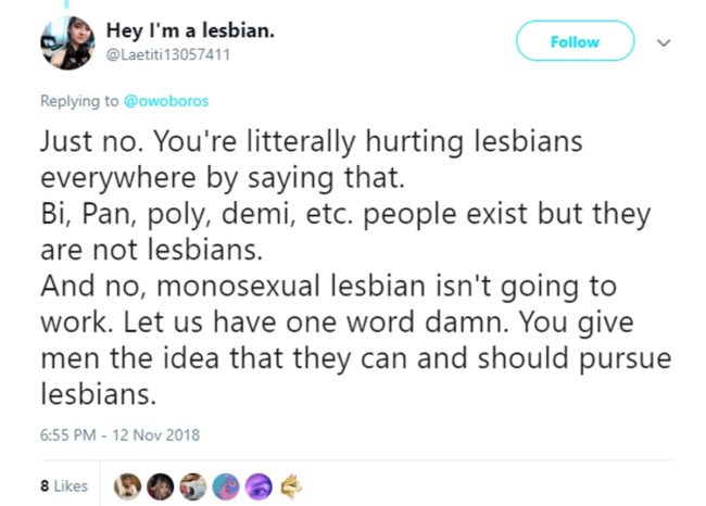 This participant in the Twitter debate accused the original poster of hurting lesbians