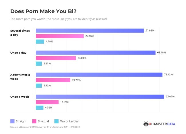 Research by porn site xHamster around its bisexual, straight, gay and lesbian users