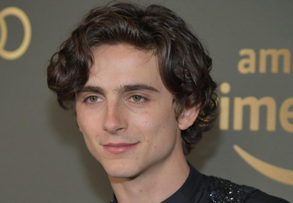 Timothée chalamet is an american actor who's made a splash with films ...
